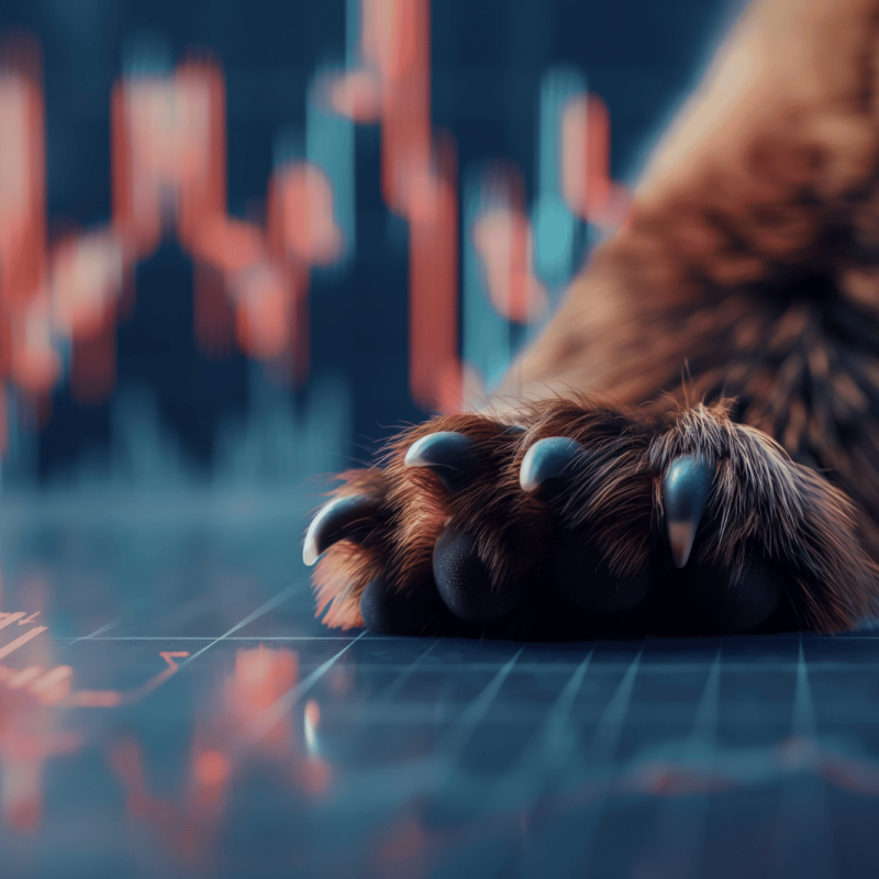 Perspectivas Financieras Leve respiro dentro del mercado bajista